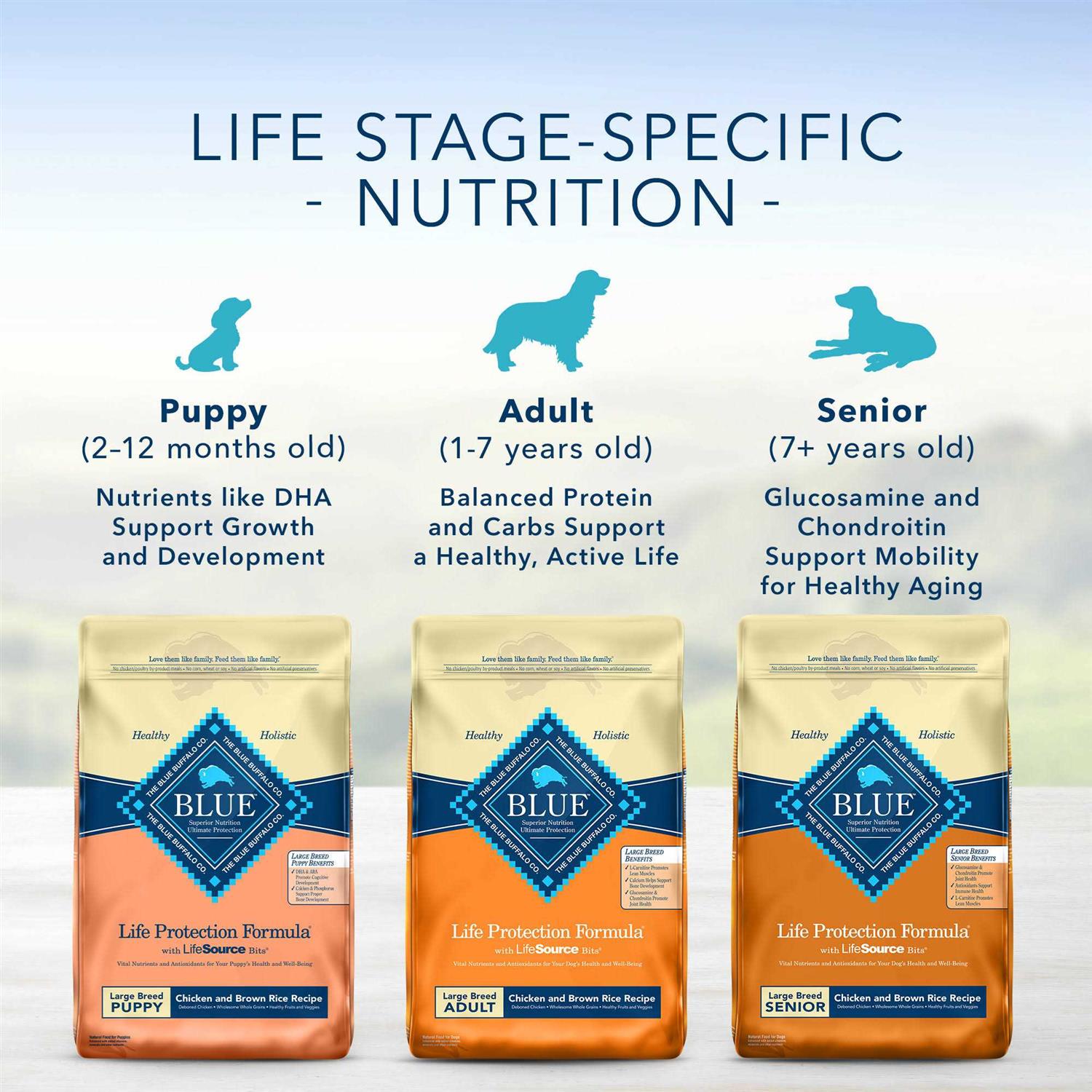 Blue Buffalo Life Protection Formula Fish & Brown Rice Adult Dry Dog Food - Nail Gallerys
