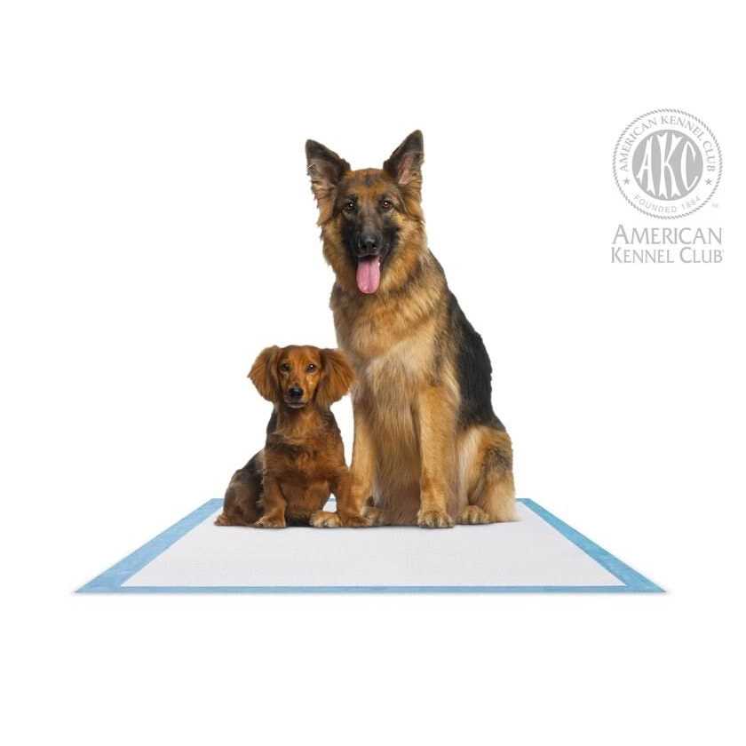 American Kennel Club 28 x Training Pads - Nail Gallerys