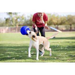 Jolly Pets Soccer Ball - Nail Gallerys