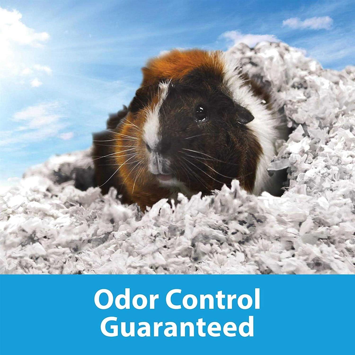 Kaytee Clean Cozy Small Bedding - Nail Gallerys