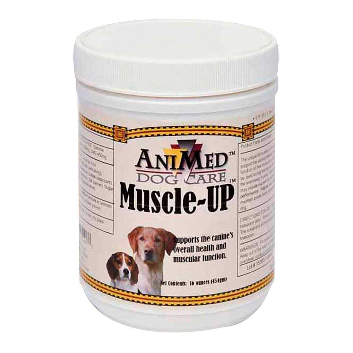 AniMed Muscle-UP Powder - Nail Gallerys