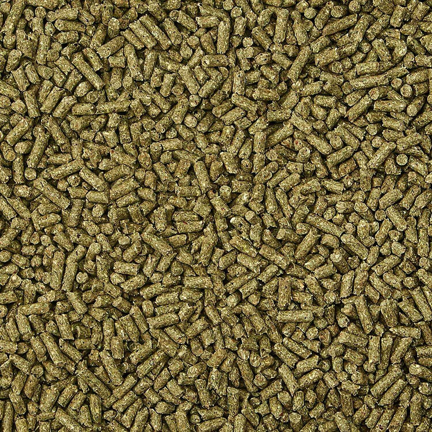 Kaytee Rabbit Fortified Daily Diet Supreme - Nail Gallerys