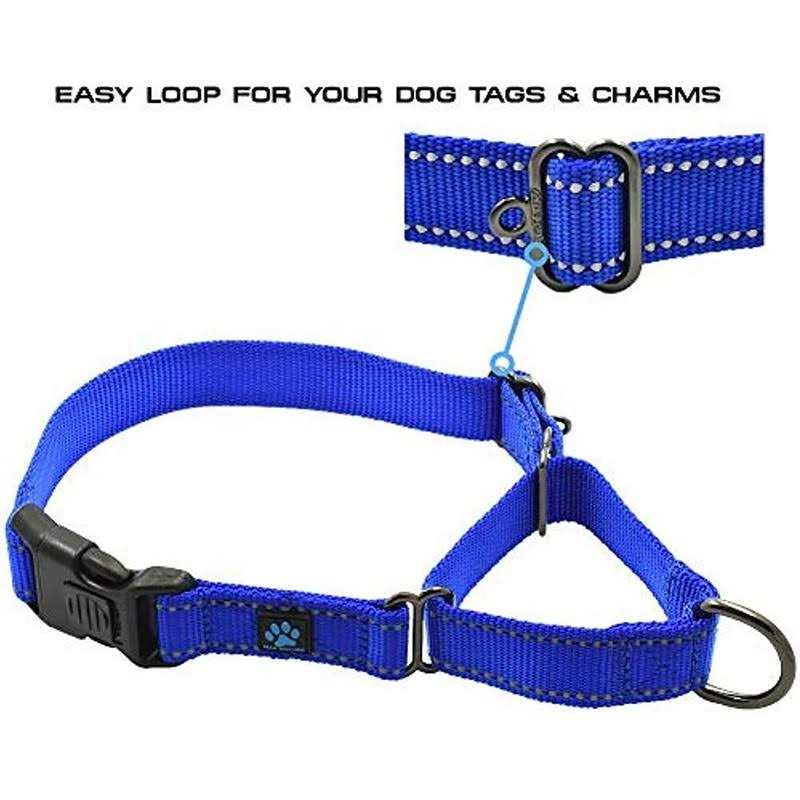 Max and Neo Nylon Martingale Collar We Donate a Collar to a Dog Rescue for Every Collar Sold - Nail Gallerys