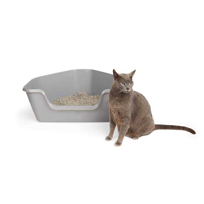 So Phresh High-Back Corner Grey Litter Box - Nail Gallerys