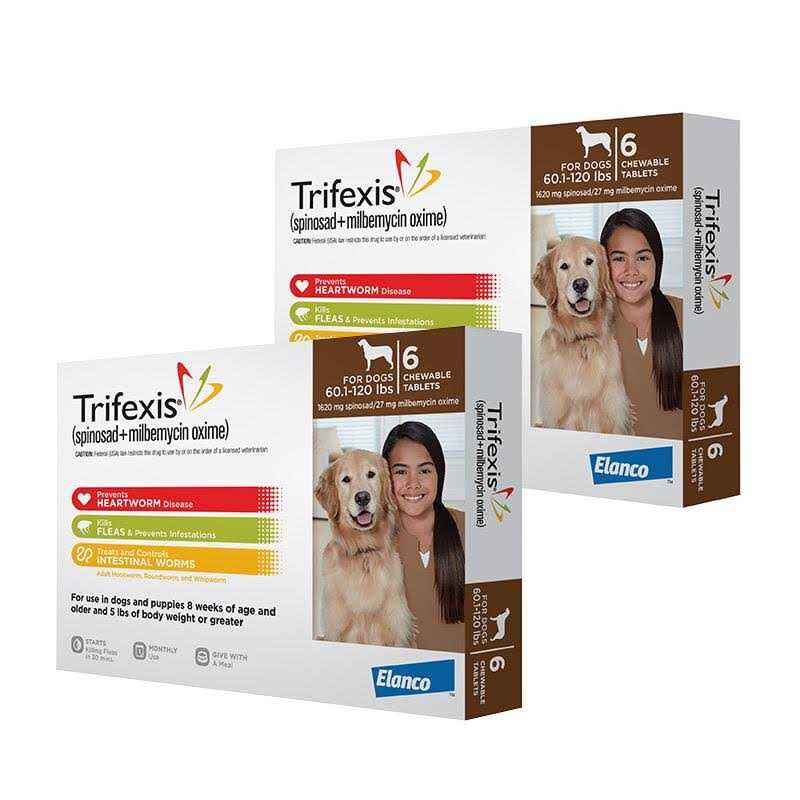 Trifexis for Dogs - Nail Gallerys