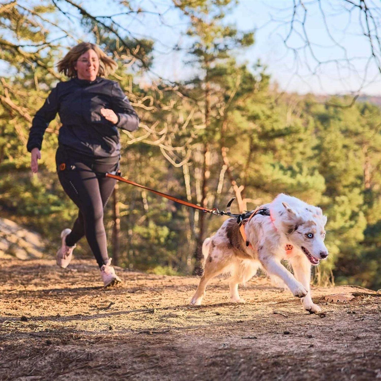 Non-Stop Dogwear Freemotion Harness 5.0 - Nail Gallerys