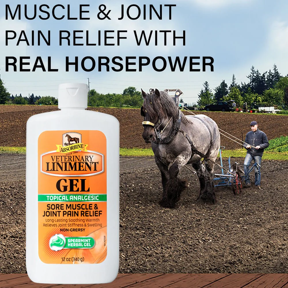 Absorbine Veterinary Liniment Gel - Nail Gallerys