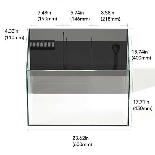 Landen 60P 26.23 Gallon Ultra Clear All Glass Rimless Low Iron Aquarium Tank with Rear Filtration Chamber for Salt and Fresh (Return Pump Included) - Nail Gallerys