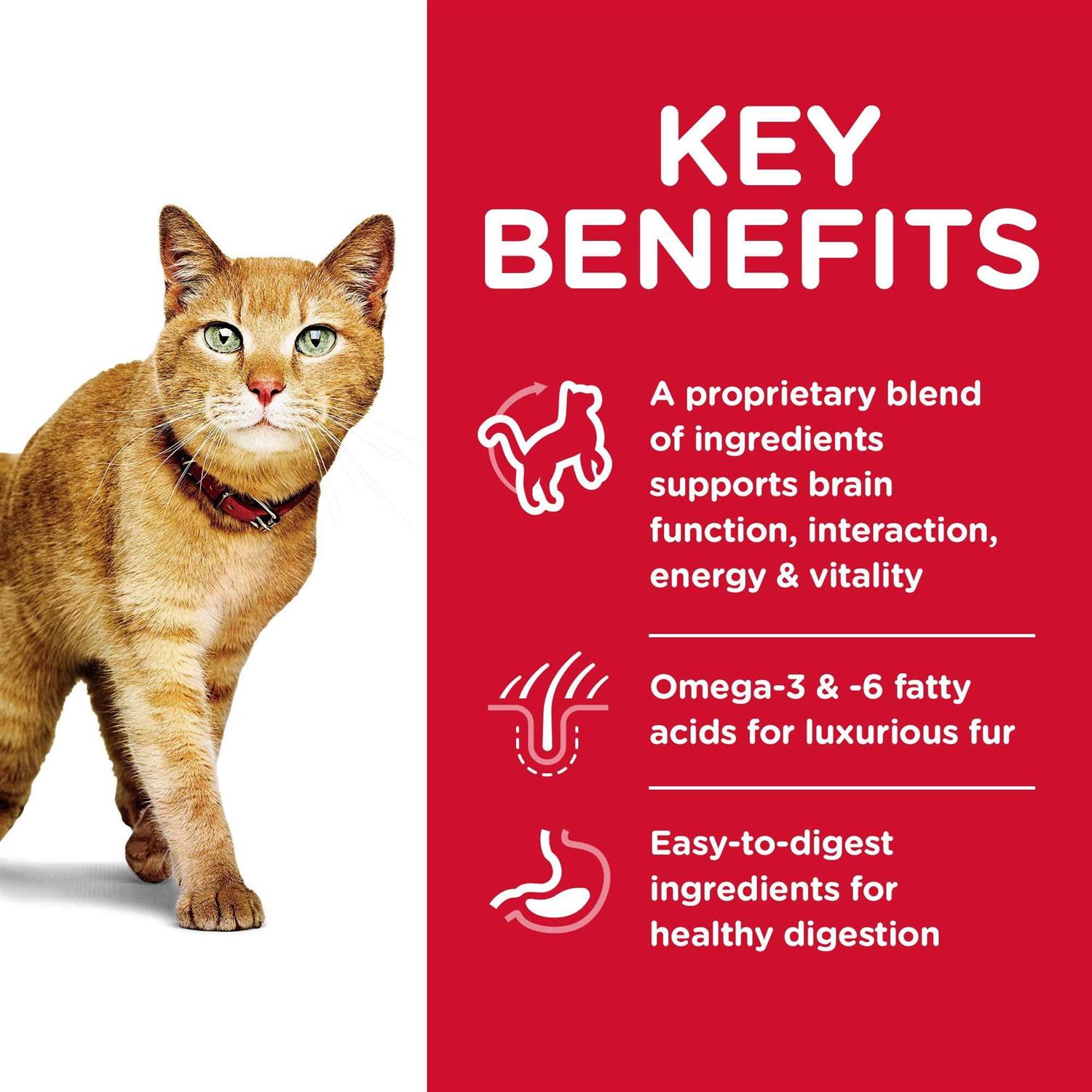 Hill’s Science Diet Adult 7+ Senior Vitality Dry Cat Food - Nail Gallerys