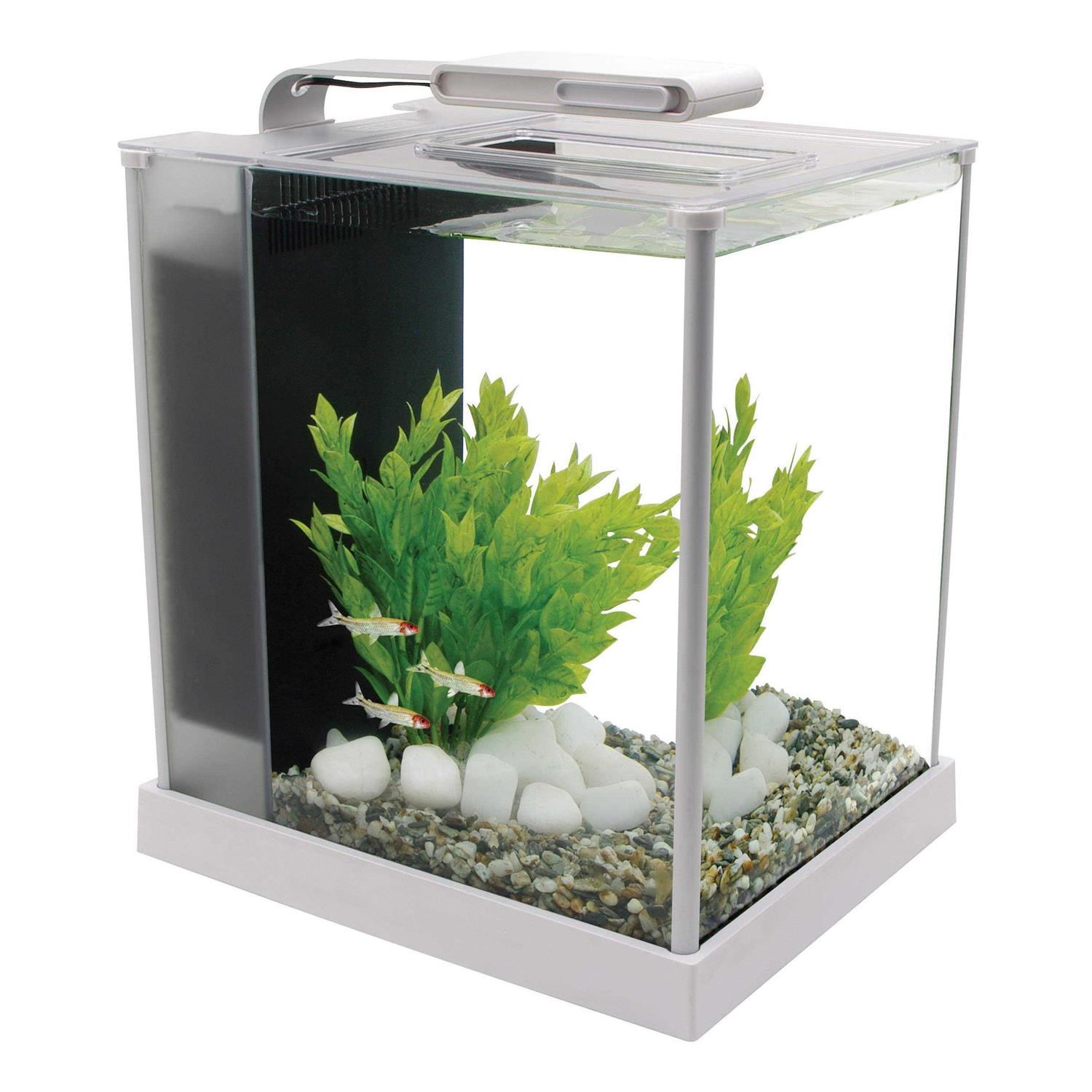 Hagen Fluval Spec III - Nail Gallerys
