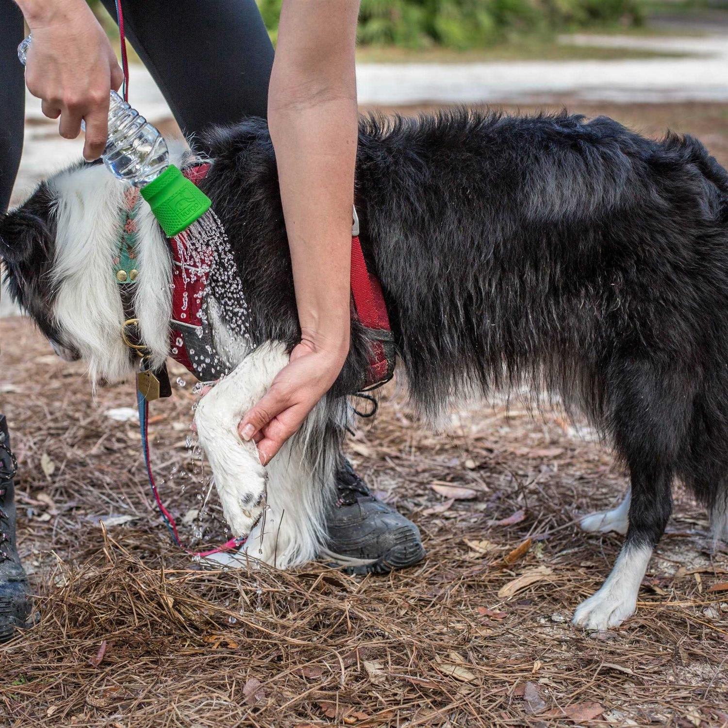 Kurgo Mud Dog Travel Shower - Nail Gallerys