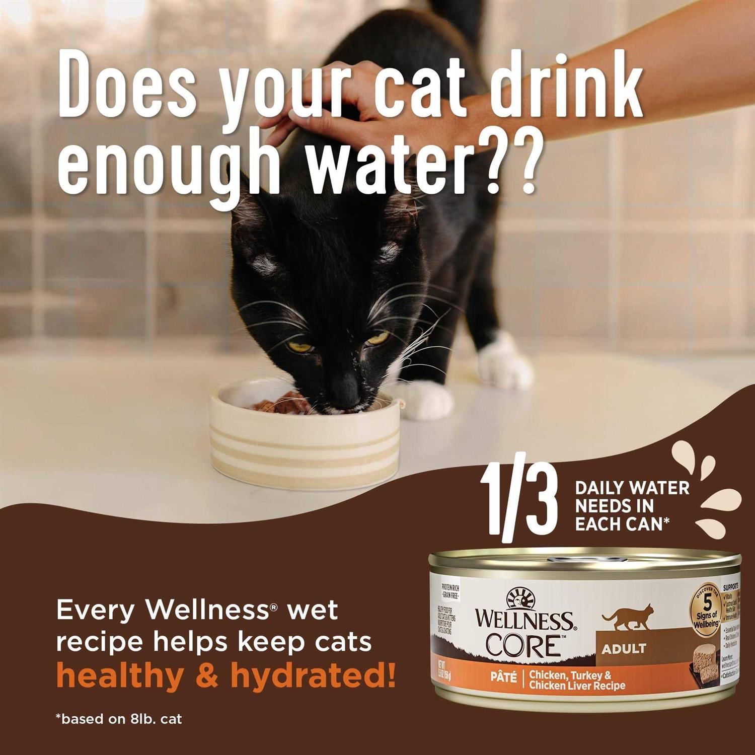 Wellness Core Digestive Health Pate Recipe Wet Cat Food - Nail Gallerys