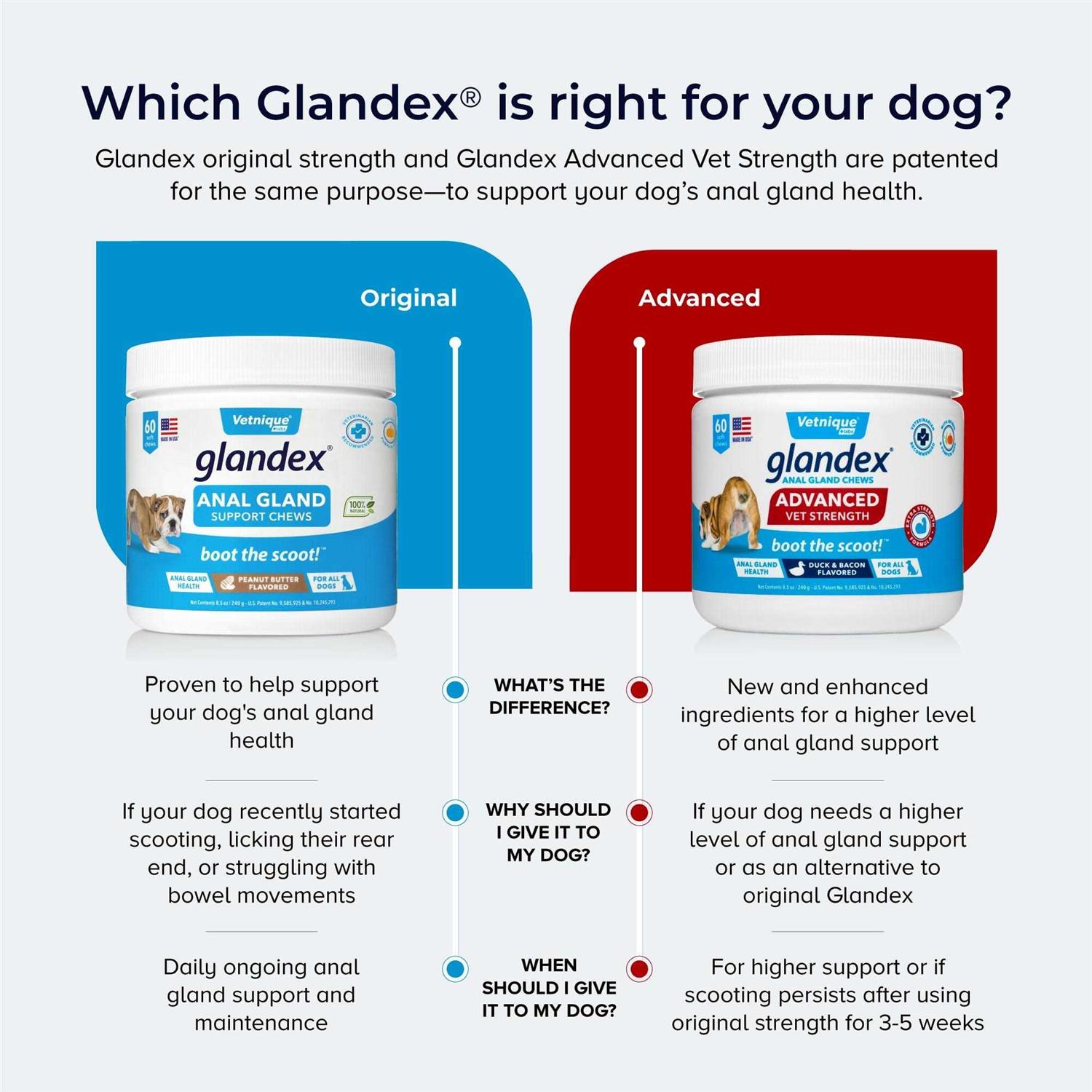 Glandex Advanced Strength Anal Gland Soft Chews for Dogs - Nail Gallerys