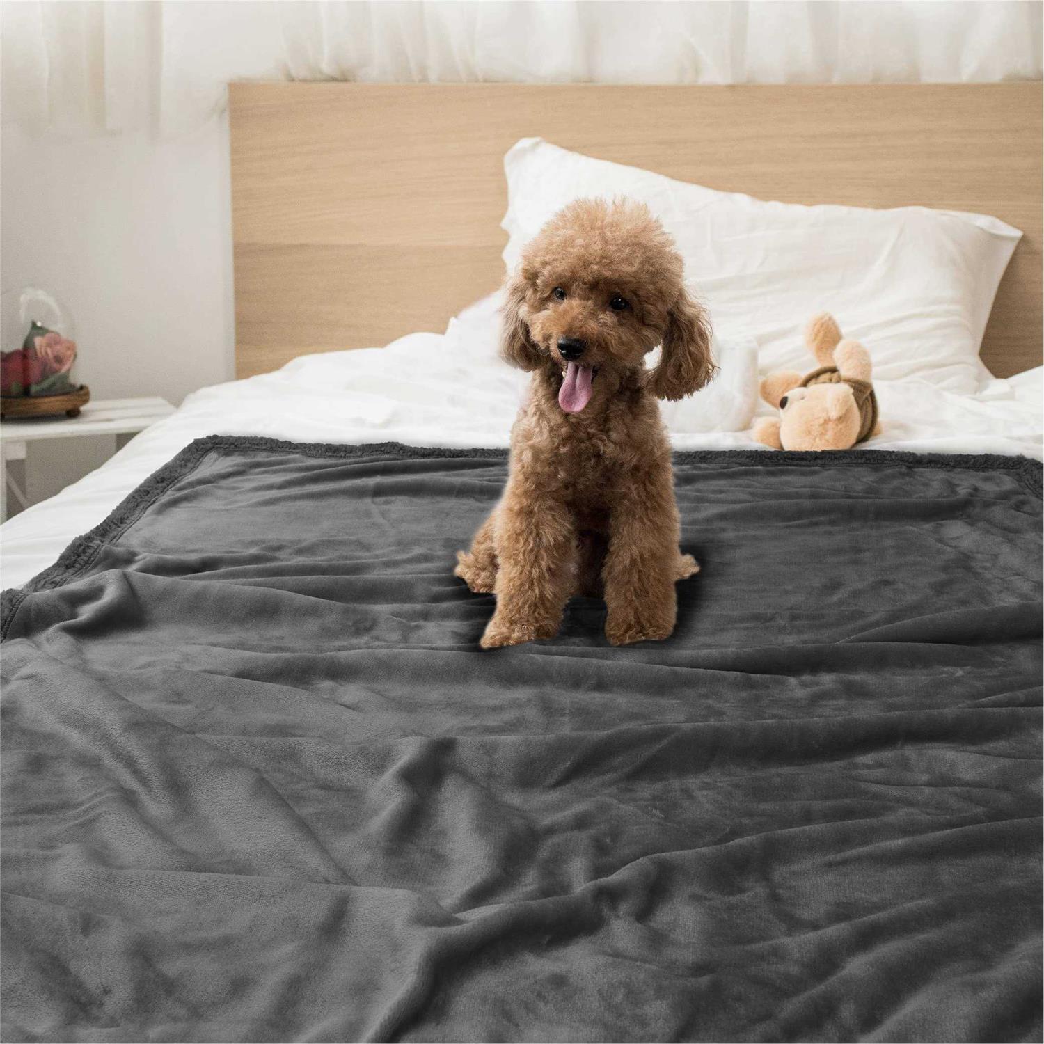 Petami Waterproof Fleece Pet Blanket - Nail Gallerys