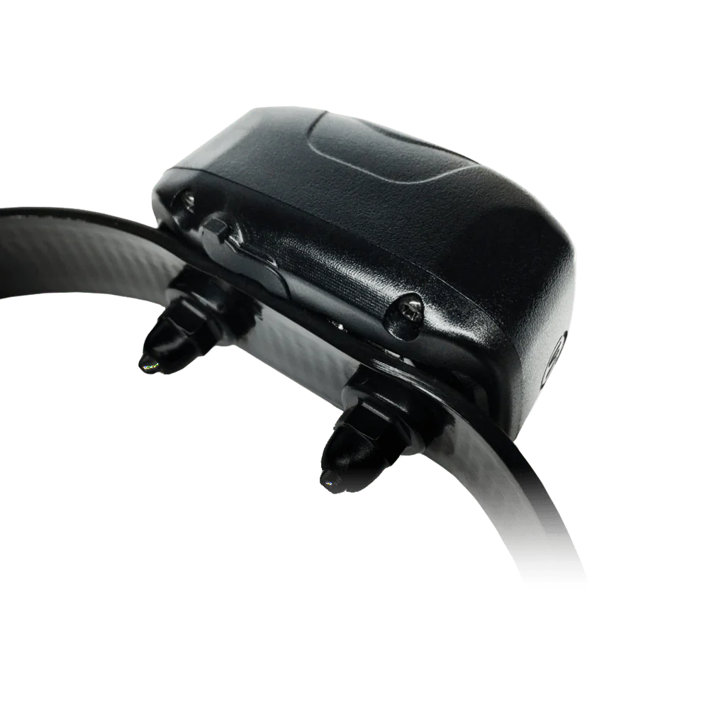 D.O.G DIrector 700, Add-On Collar - Nail Gallerys