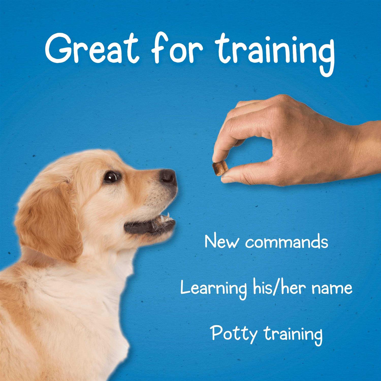Purina Puppy Chow Dog Training Treats - Nail Gallerys