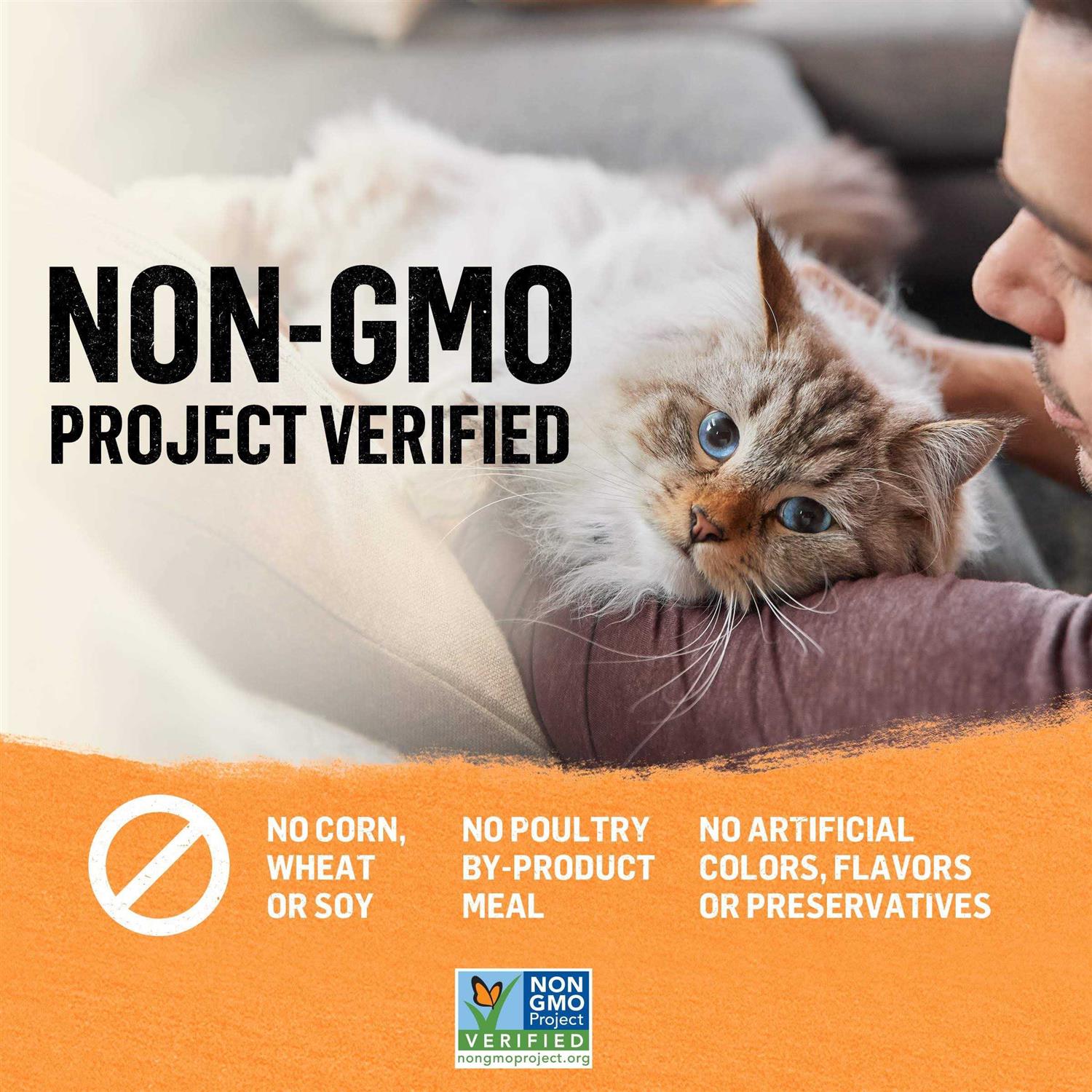 Purina Beyond Organic Pate Wet Cat Food - Nail Gallerys