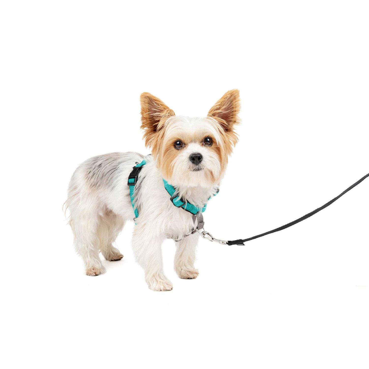 PetSafe 3 in 1 Harness - Nail Gallerys