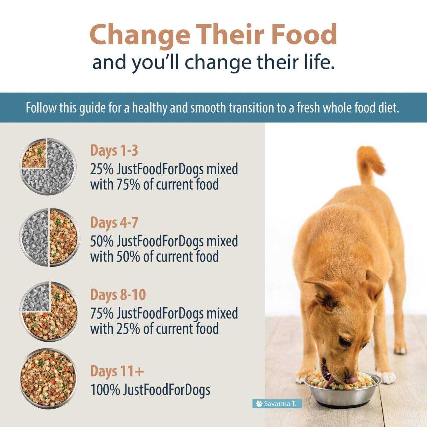 JustFoodForDogs Frozen Fresh Dog Food for Liver Health - Nail Gallerys