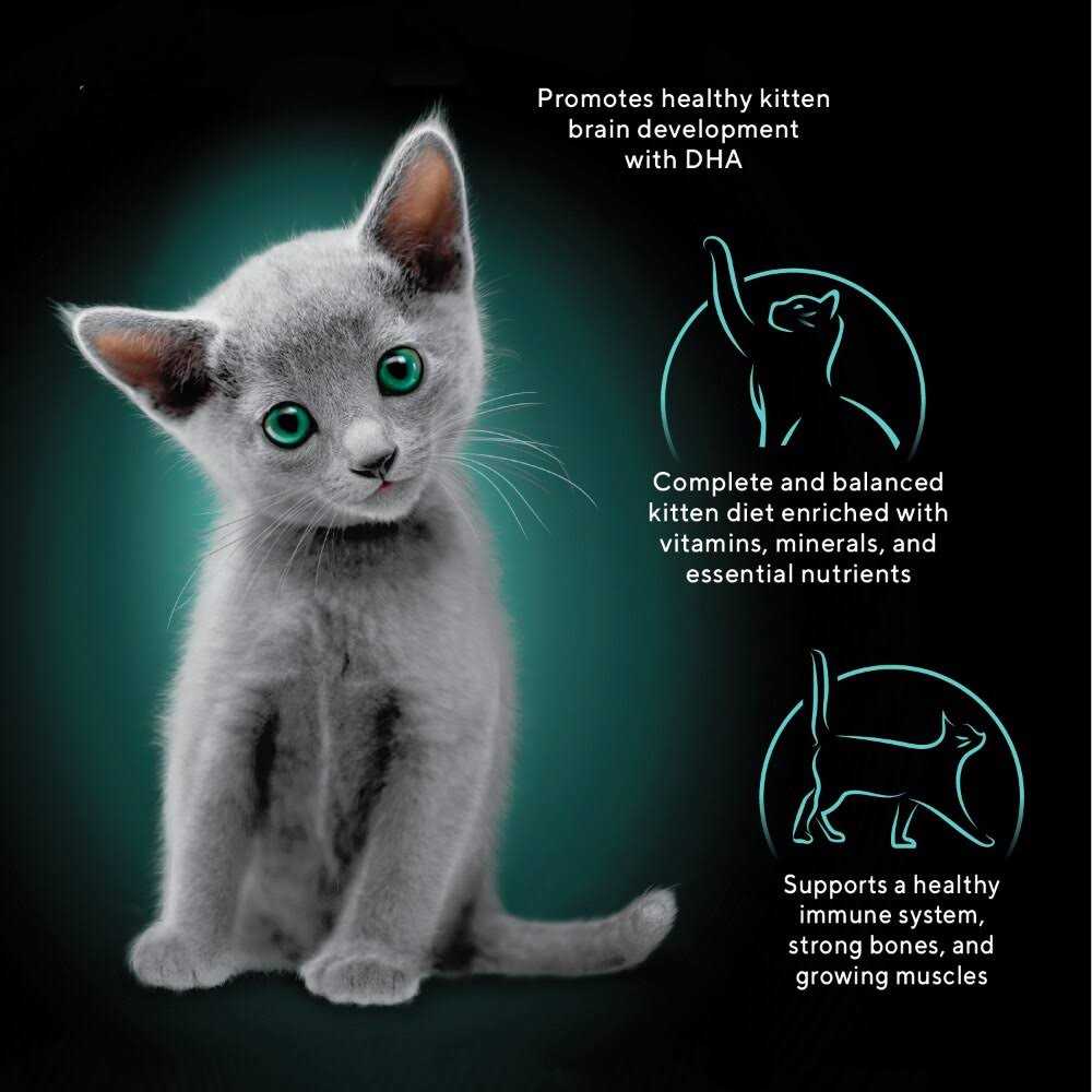 Sheba Perfect Portions Kitten Premium Soft Pate Wet Food Variety Pack - Nail Gallerys