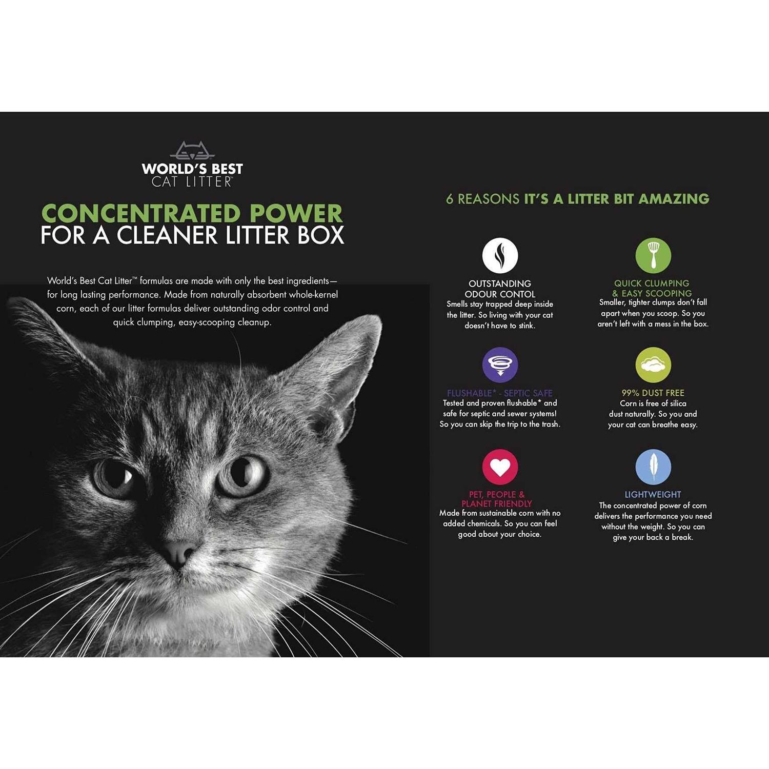 World’s Best Cat Litter Clumping - Nail Gallerys