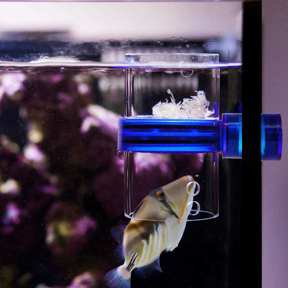 Innovative Marine Gourmet Defroster Pro Magnetic Frozen Food Feeder - Nail Gallerys