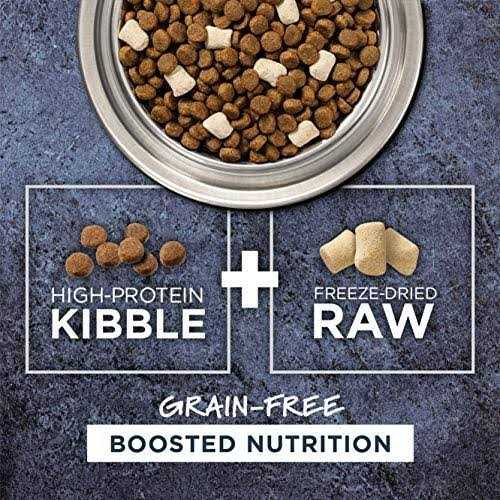 Instinct Raw Boost Grain Free Recipe with Real Beef Natural Dry Dog Food - Nail Gallerys