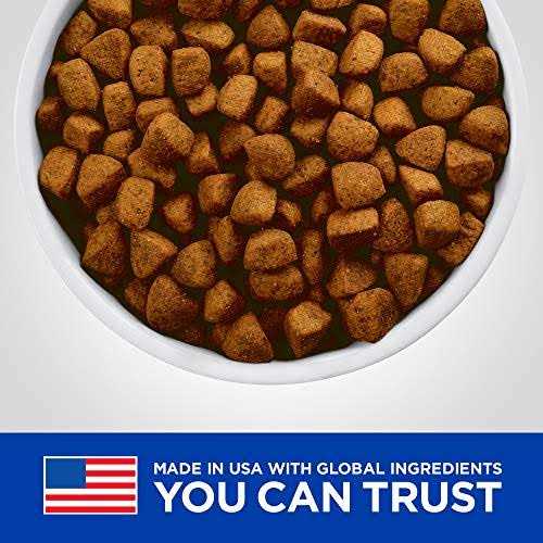 Hill’s Prescription Diet Metabolic + Mobility Weight & Joint Care Chicken Flavor Dry Dog Food - Nail Gallerys