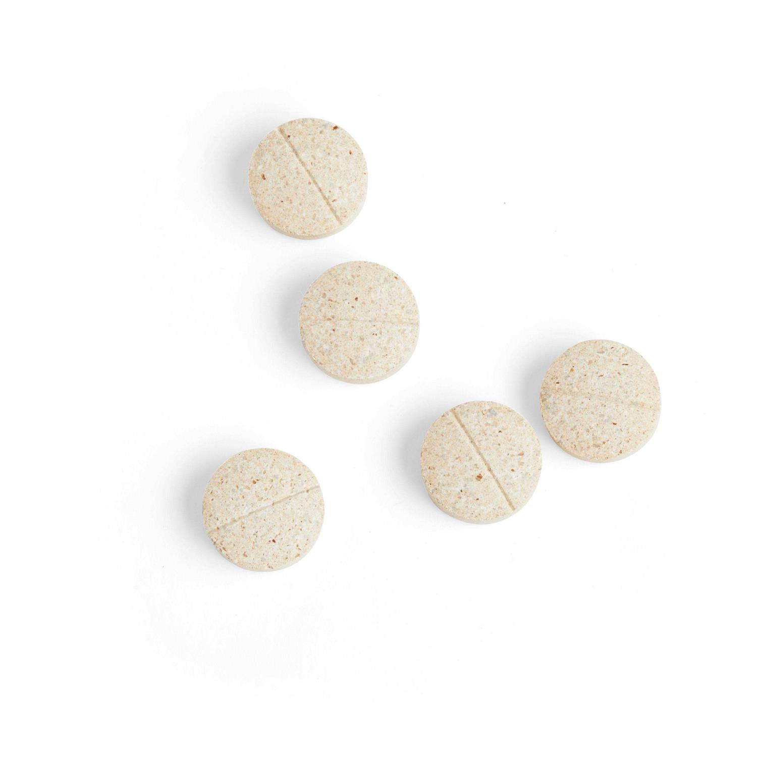 Well & Good Digestive Enzymes & Probiotics Tablets for Dogs - Nail Gallerys