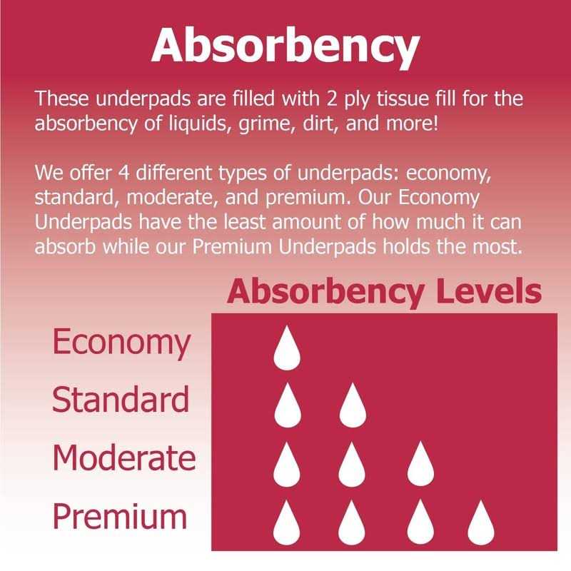 Dealmed Economy Absorbency Disposable Underpads 2-Ply Tissue Fill 17 X 24” - Nail Gallerys