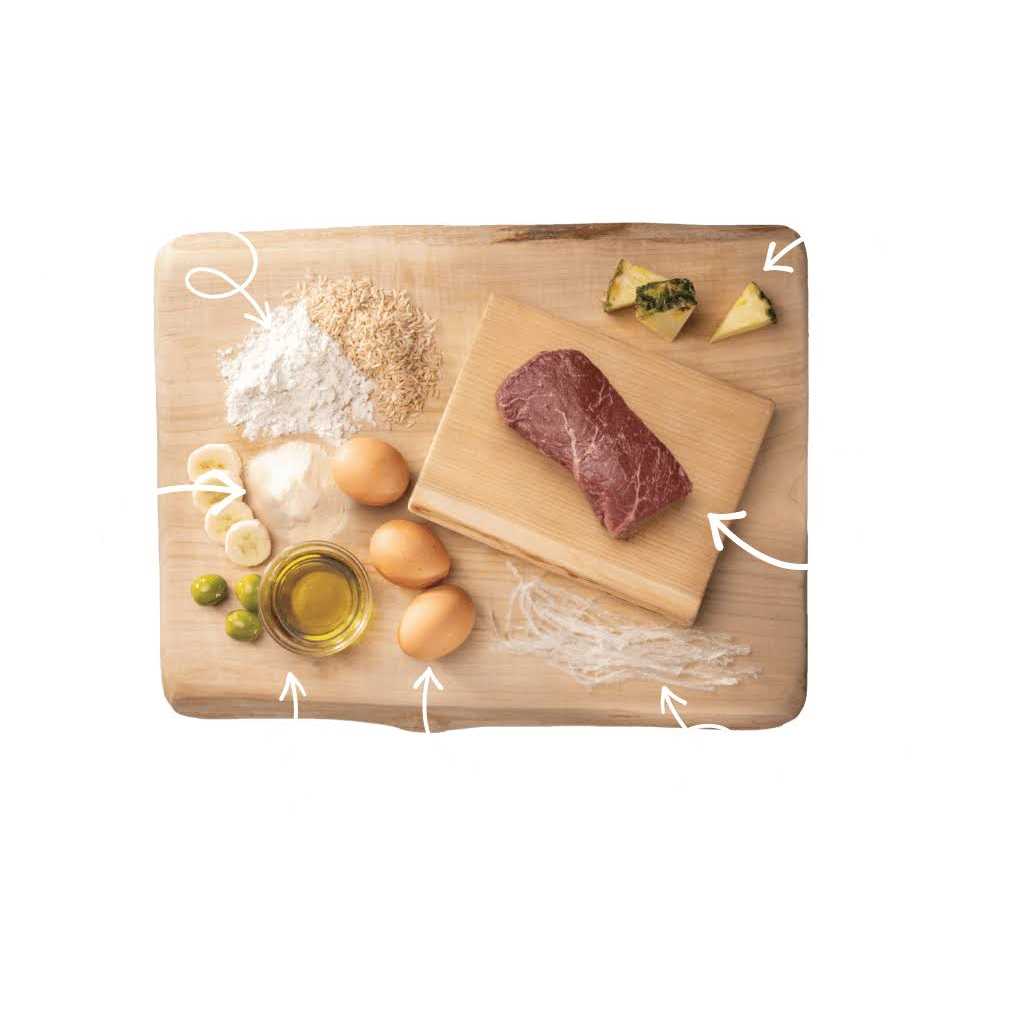 Earth Animal No Hide Strips - Nail Gallerys