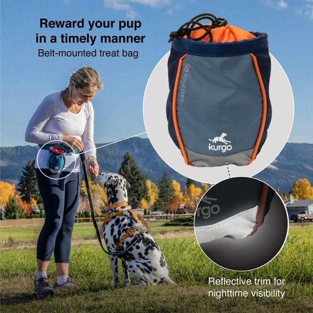 Kurgo Go Stuff It Dog Treat Bag - Nail Gallerys
