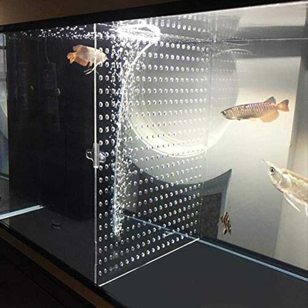 Tank Acrylic Divider Isolation Board with Suction Cups - Nail Gallerys