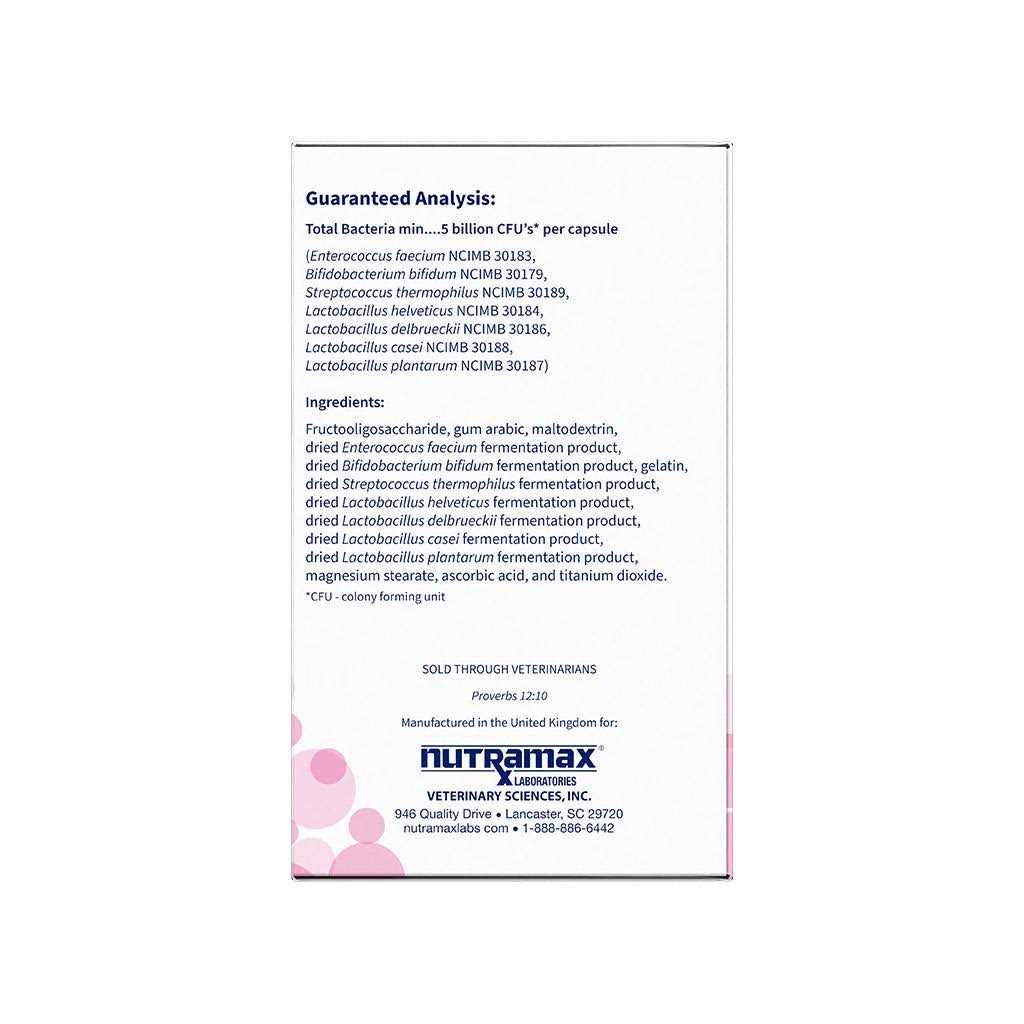 Nutramax Proviable Digestive Health Supplement Multi-Strain Probiotics and Prebiotics for Cats and Dogs - Nail Gallerys