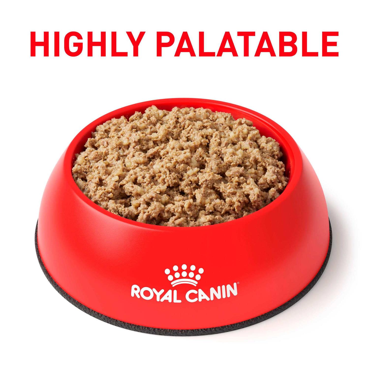 Royal Canin Veterinary Diet Gastrointestinal Loaf Canned Dog Food - Nail Gallerys