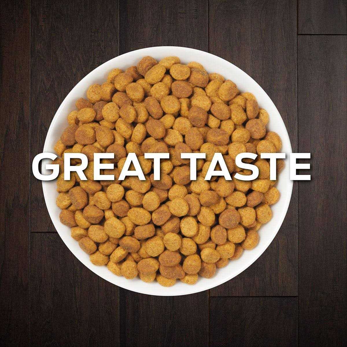 Purina Pro Plan Veterinary Diets OM Overweight Management Formula Dry Cat Food - Nail Gallerys