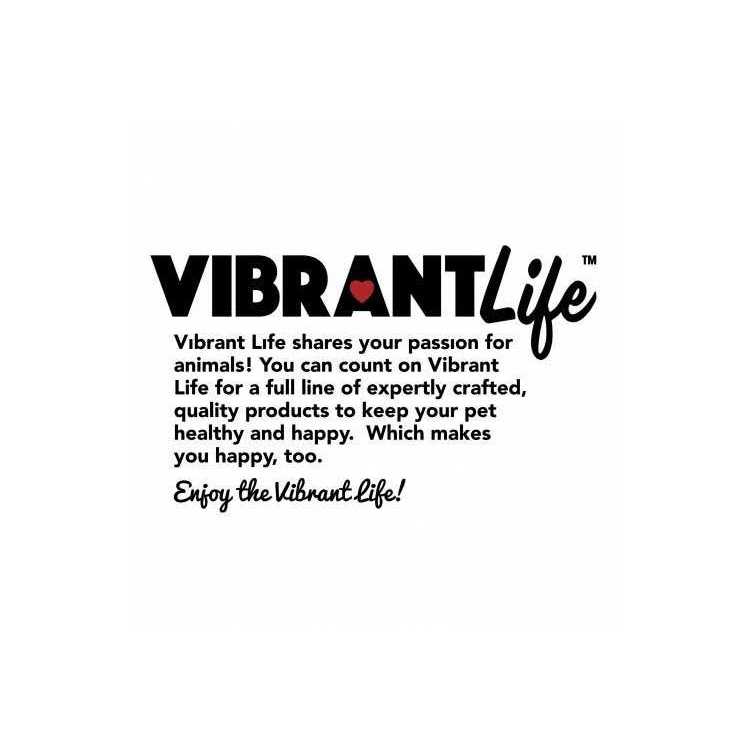 Vibrant Life Reflective Vinyl-Covered Tie-Out for Dogs - Nail Gallerys