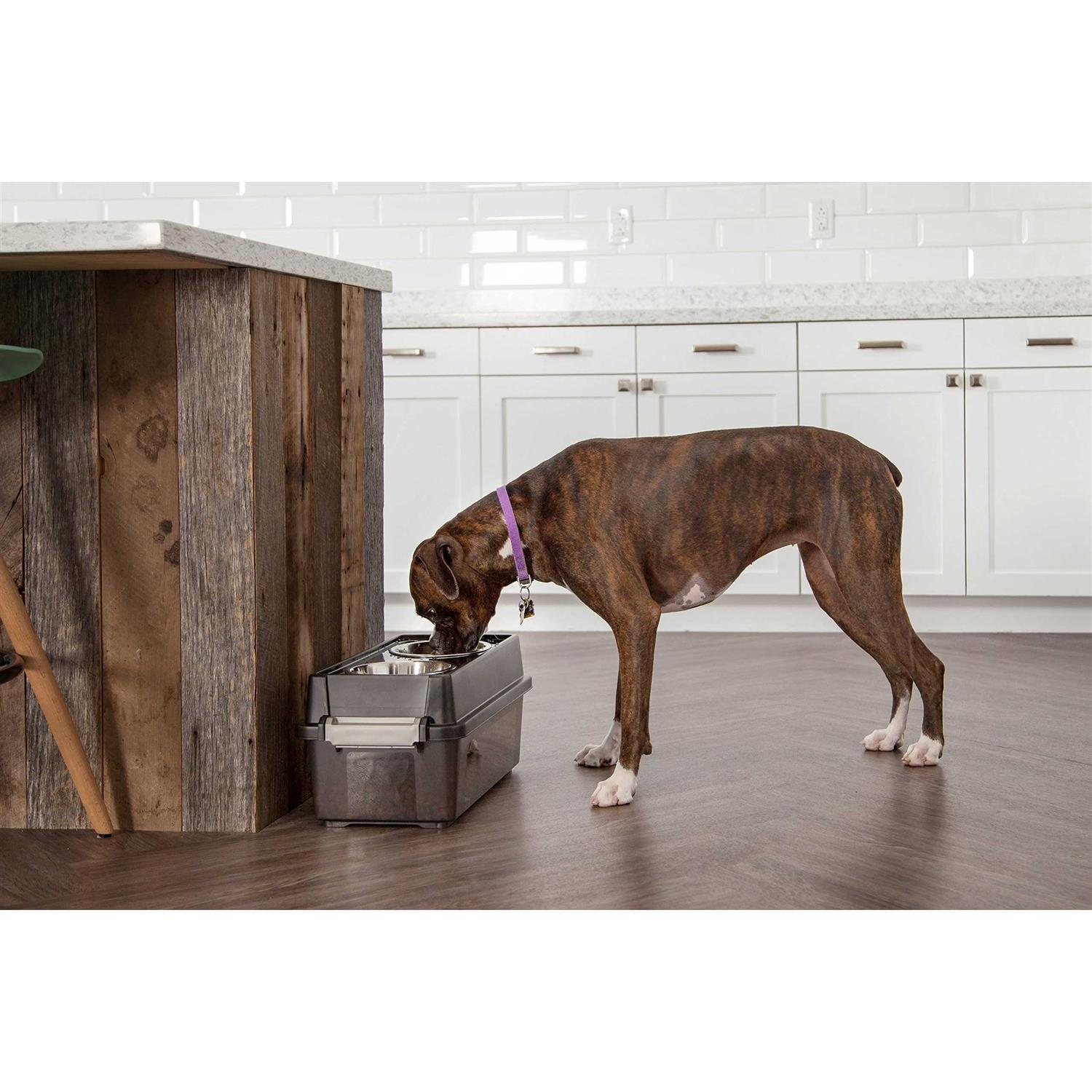 Iris Elevated Feeder with Airtight Storage - Nail Gallerys