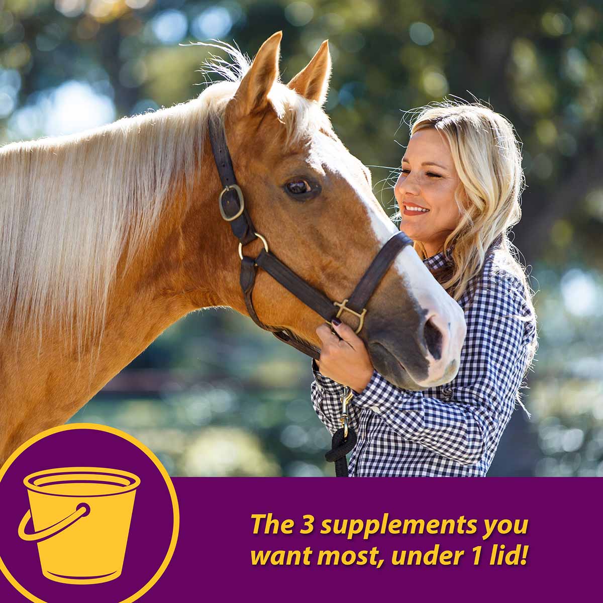 Joint Combo Hoof & Coat Supplement for Horses - Nail Gallerys