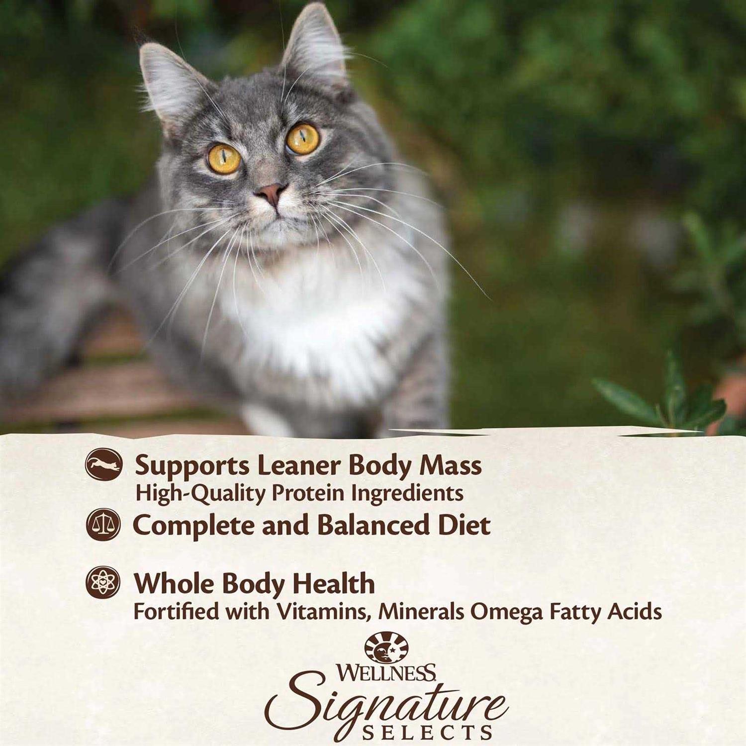 Wellness Signature Selects Grain Free Flaked Skipjack Tuna & Wild Salmon Entree Canned Cat Food - Nail Gallerys