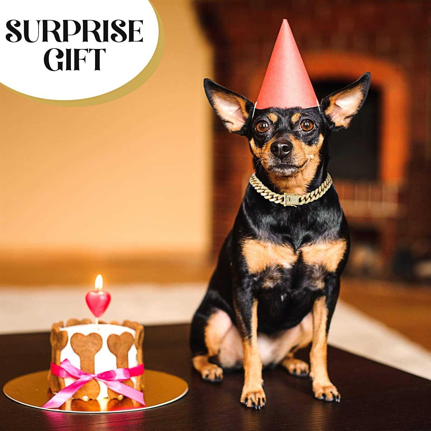 Tallew Dog Chain Diamond cuban Collar Walking Metal Chain Collar with Design Secure Buckle - Nail Gallerys