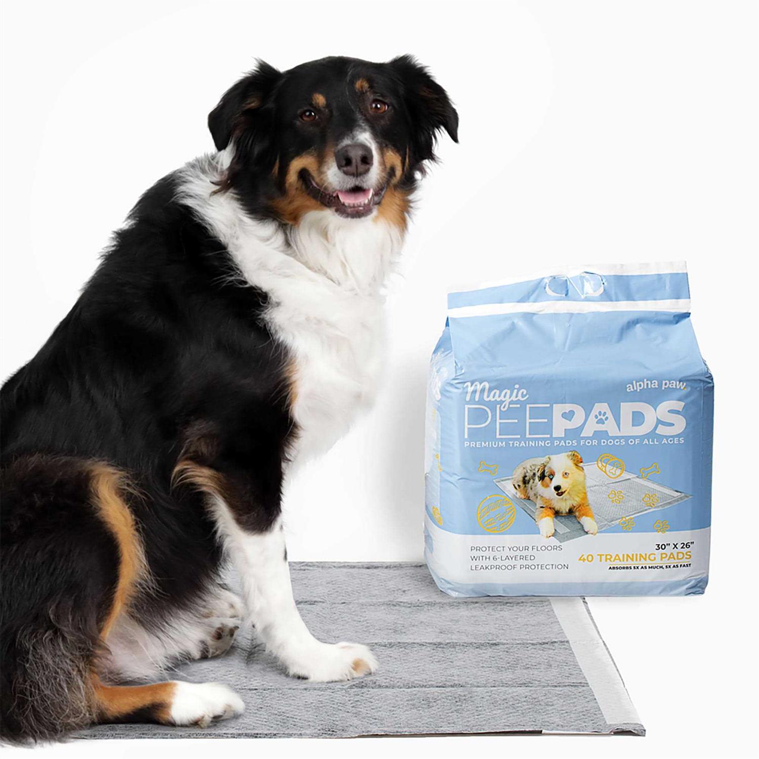 Alpha Paw Magic Dog Pee Pads - Nail Gallerys