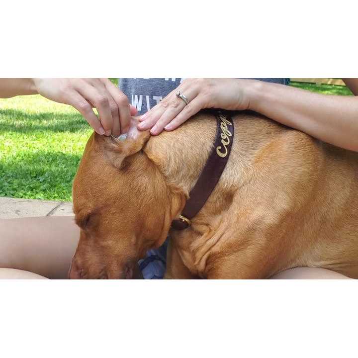 PetMD Aloe & Eucalyptus Dog Ear Wipes - Nail Gallerys