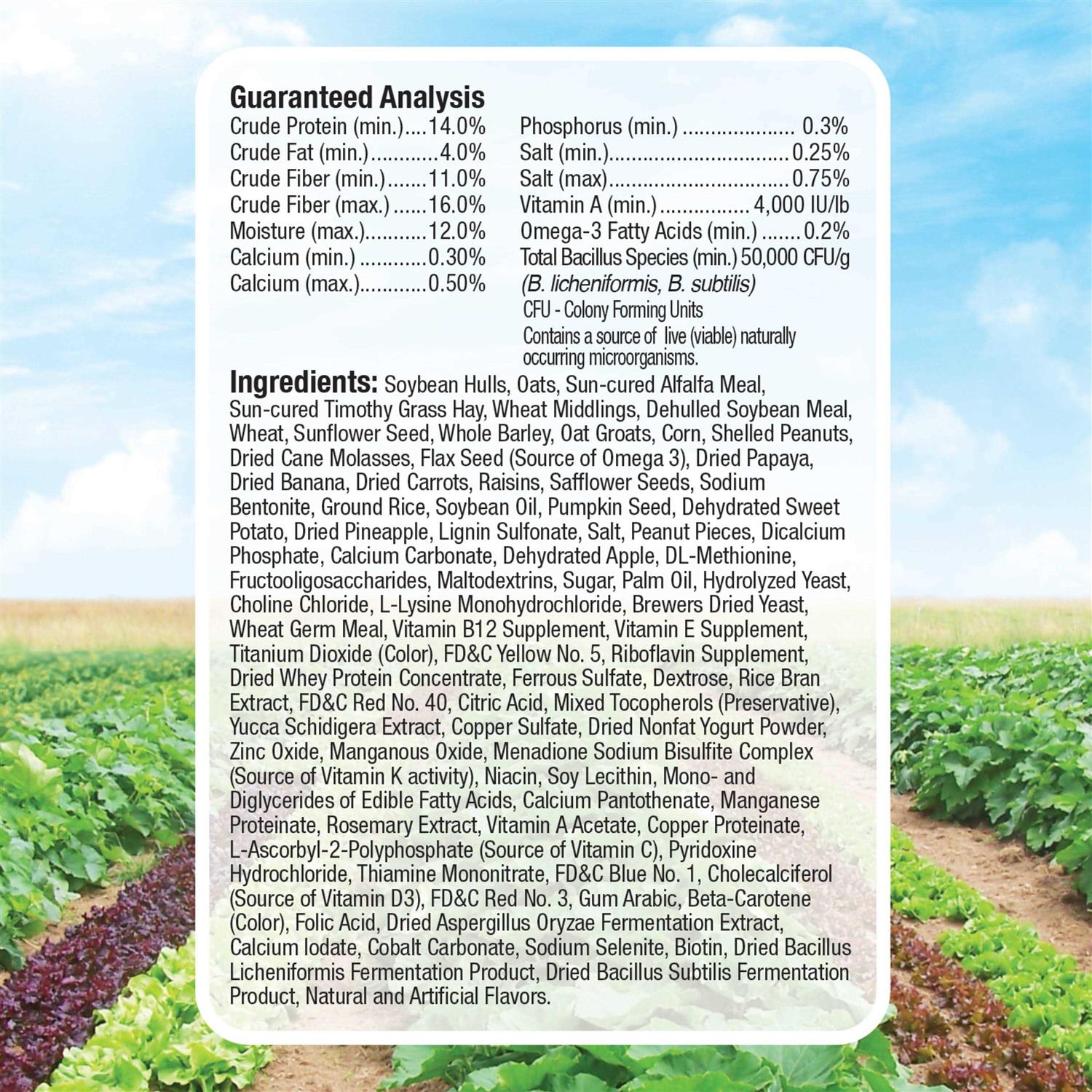 Kaytee Fiesta Rabbit Food - Nail Gallerys