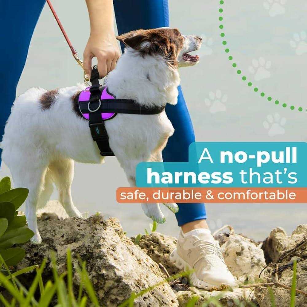 Joyride Harness No Pull Easy On-Off Dog Harness - Nail Gallerys