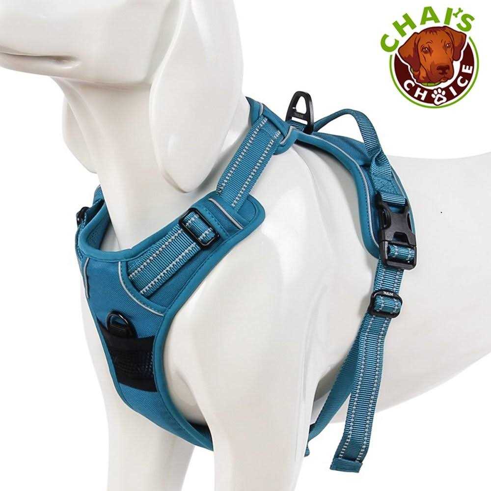 Chai’s Choice Premium Outdoor Adventure Dog Harness 3M Reflective Vest Leash Matching Leash - Nail Gallerys