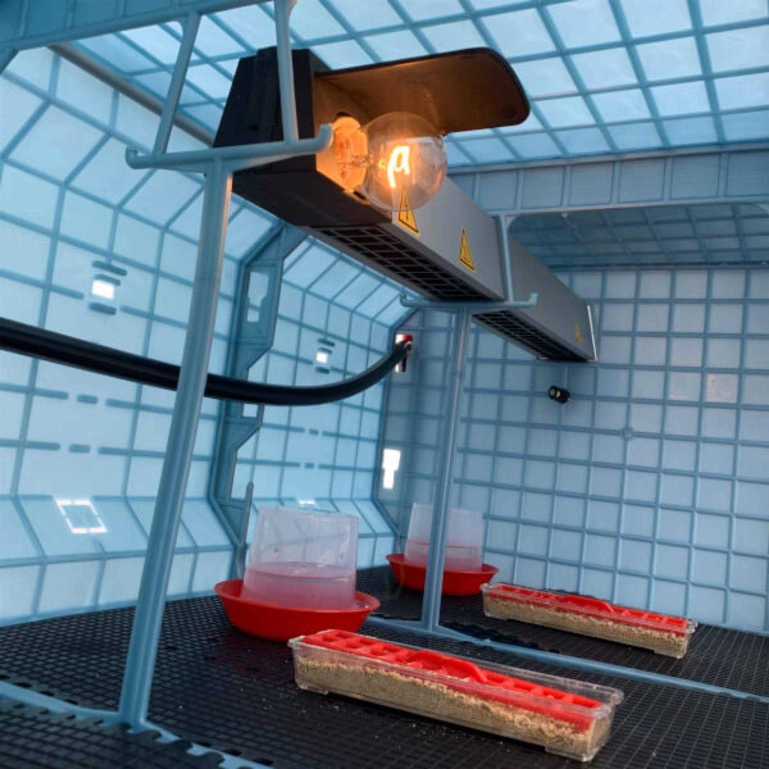 Hatching Time Chick Brooder 1 Layer H - Nail Gallerys