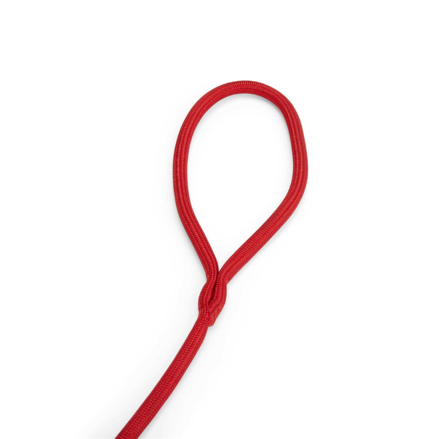 EveryYay Settin’ the Pace Training Rope Slip Lead for Dogs - Nail Gallerys