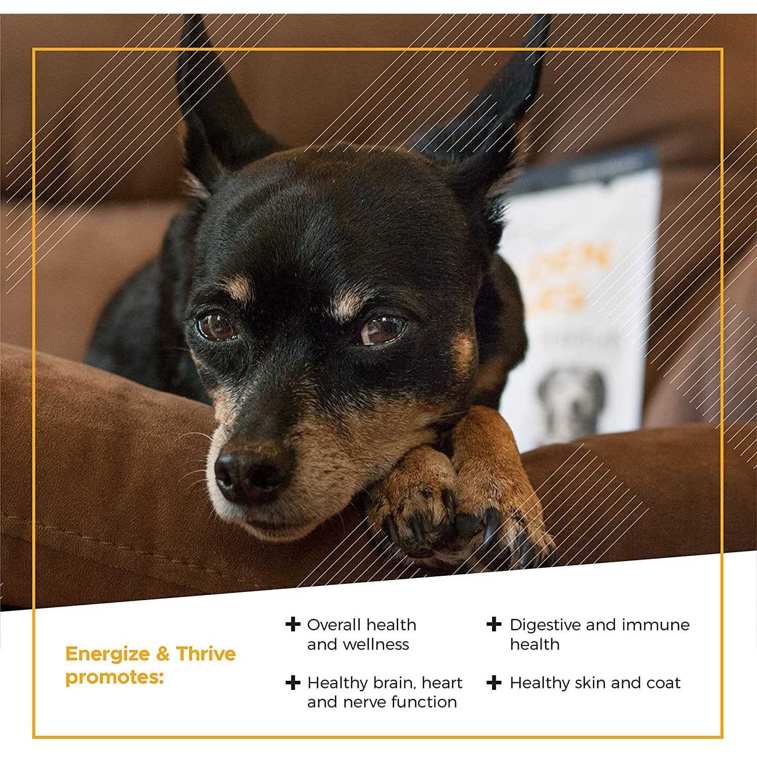 VetriScience Golden Years Energize and Thrive Multivitamin for Senior Dogs - Nail Gallerys