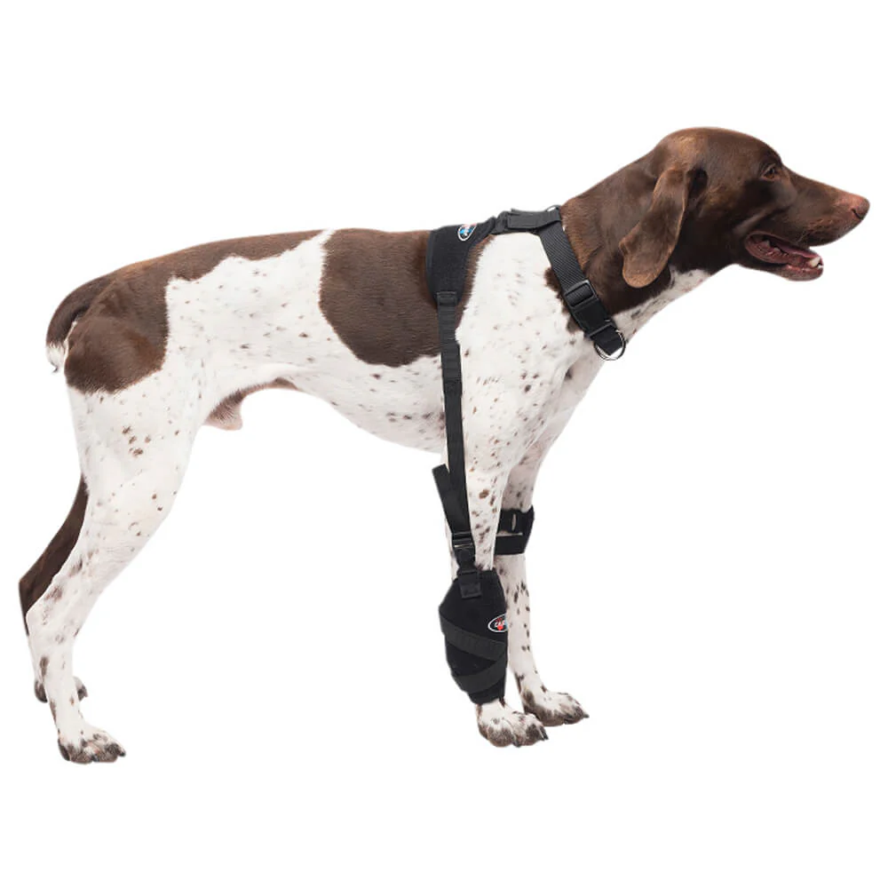 Caldera Pet Universal Therapy Carpal/Elbow Wrap with Therapy Gel - Nail Gallerys